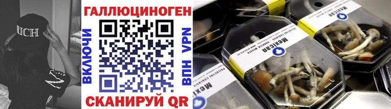 MEGA зеркало  Владикавказ  Псилоцибиновые грибы MAGIC MUSHROOMS 